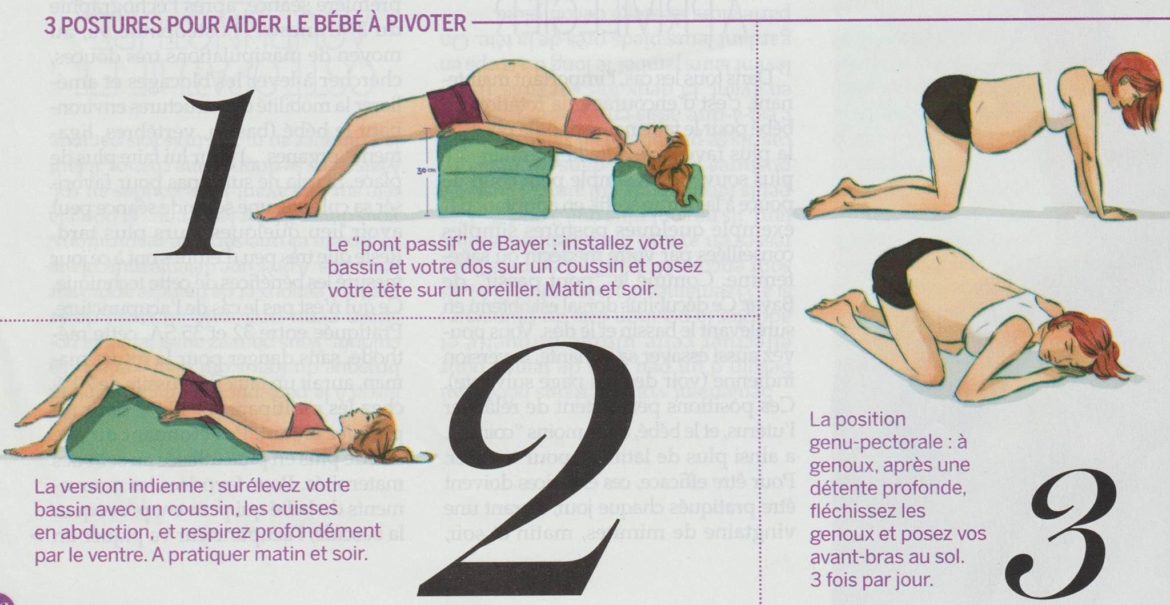 On Se Chamaille Pour Un Siège